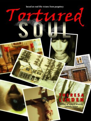 cover image of Tortured Soul